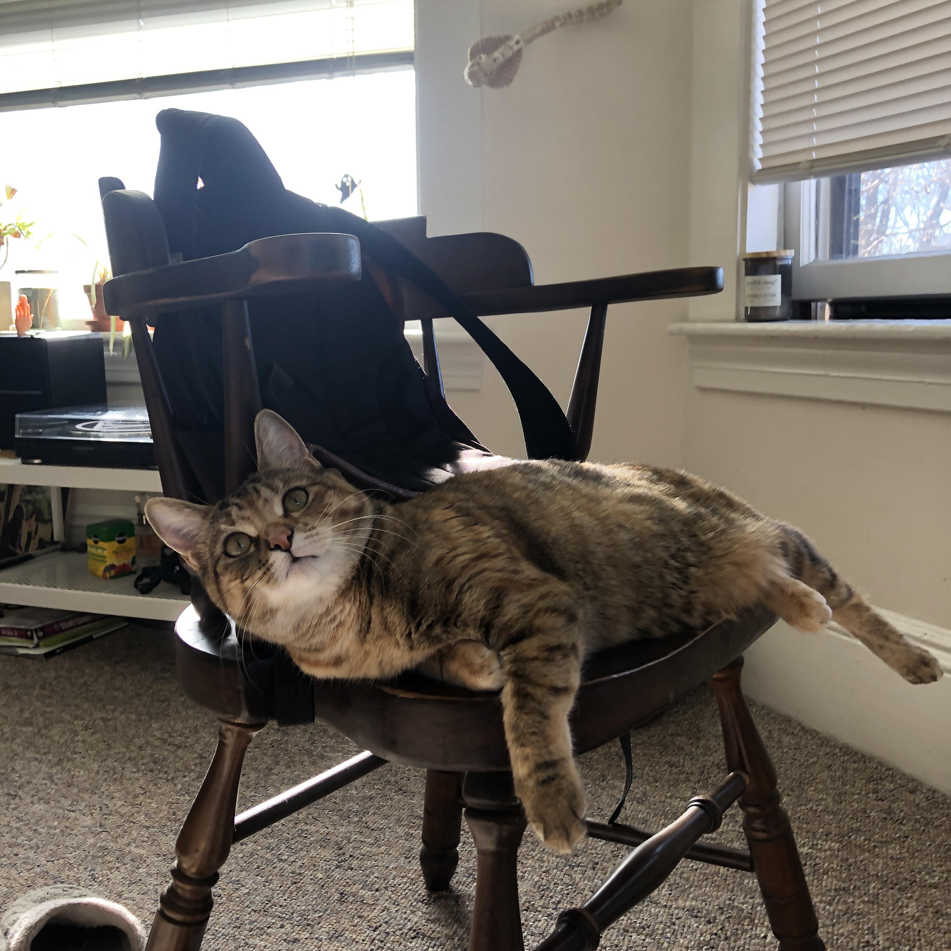 _活塞老将持重,关键时刻显身手_,活塞2021