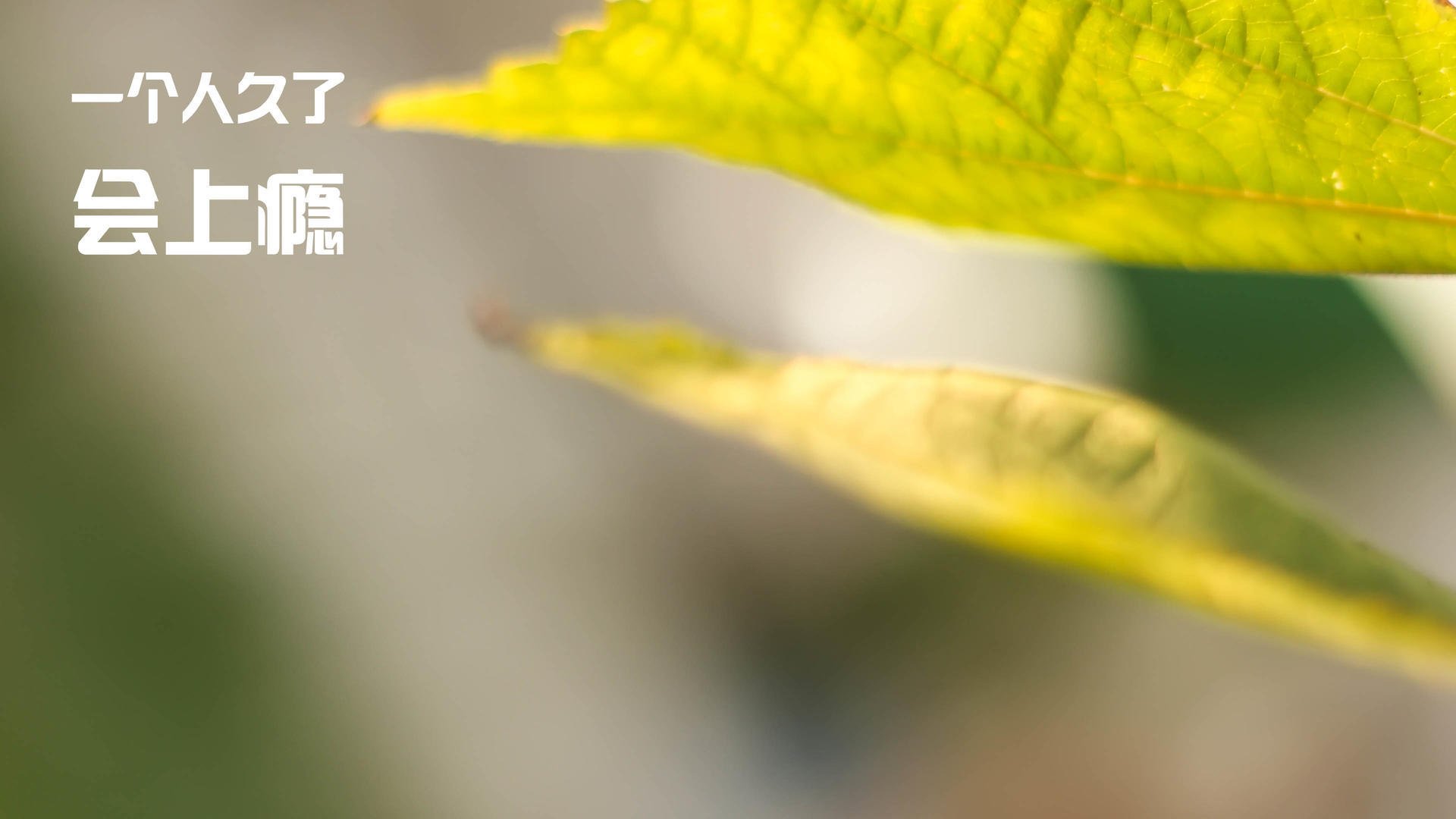 kaiyun官方入口登录-_水上漂移车赛：速度、水花齐飞_，水上漂移作文