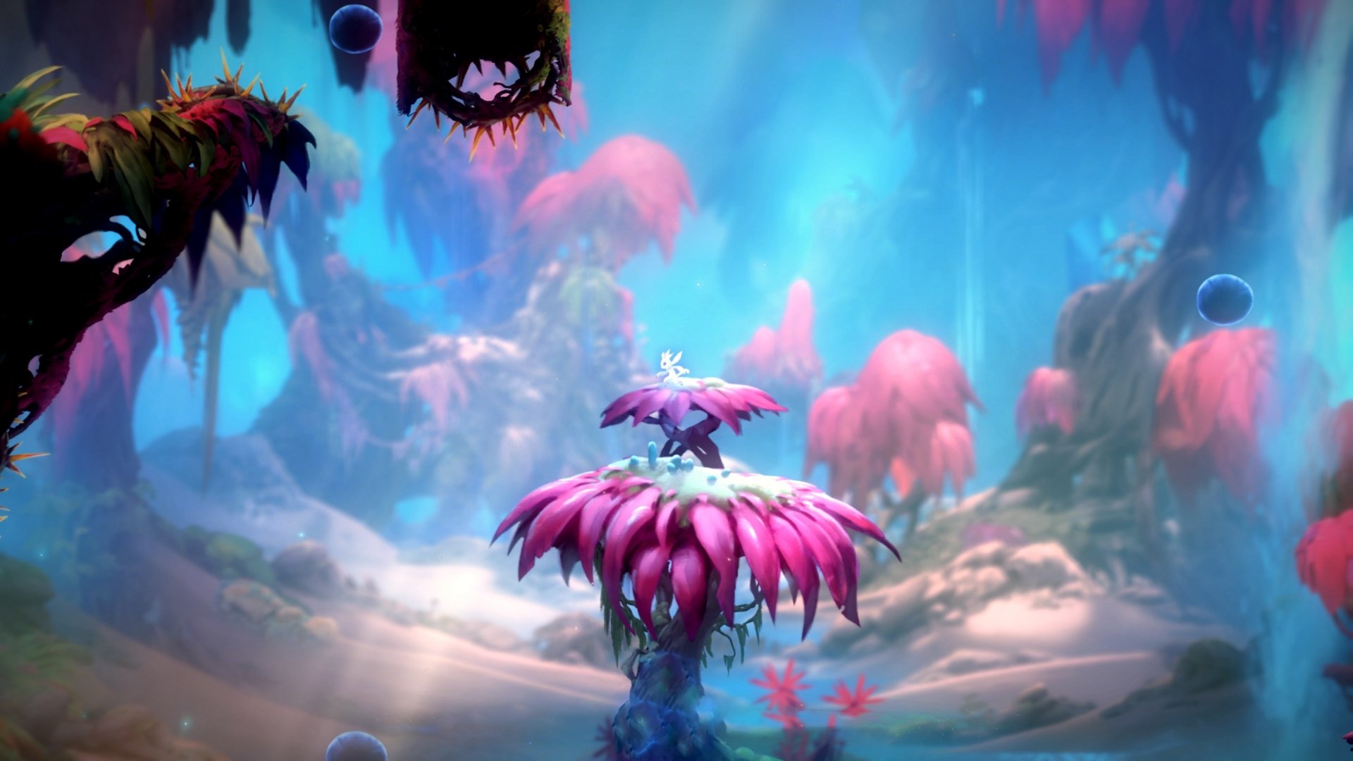 _网球巡回赛新扩展:增加更多地区站点丰富赛事_,网球巡回赛攻略