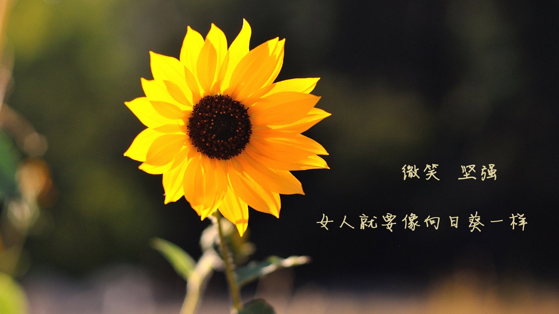 “未来领跑者”青少年青训课程在北京得到广泛认可,推动青训行业发展