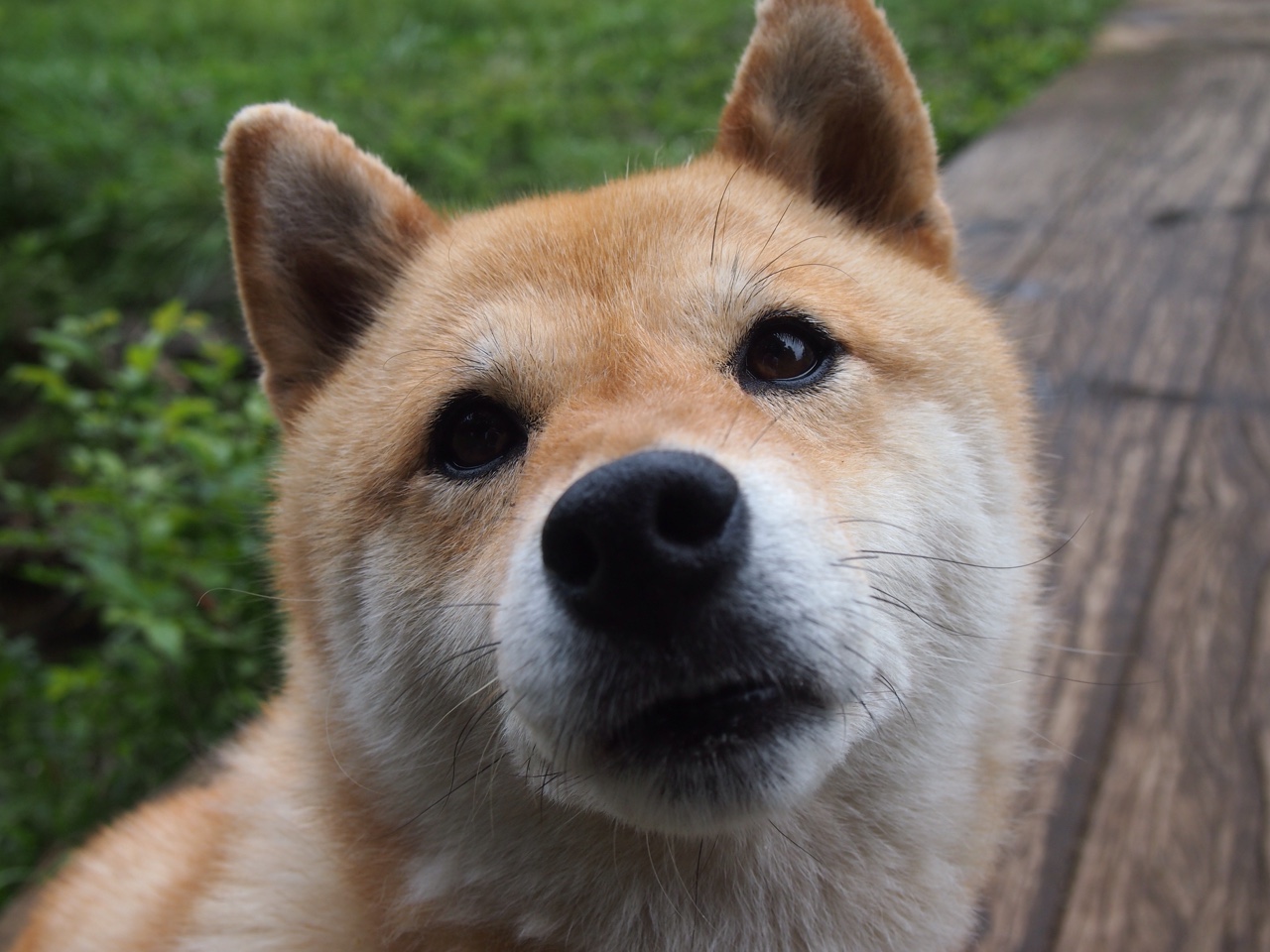 开云网页版-《守望先锋年度锦标赛，策略与技巧的极限PEAK》，守望先锋锦标赛赛制