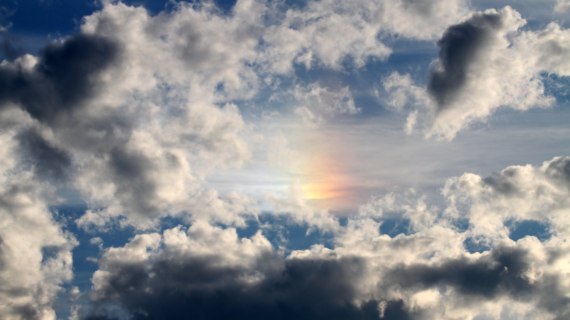 开云官网APP下载-意大利骑手多米安·米歇尔斯在2024年巴黎奥运会盛装舞步比赛中获得第六名，展现坚韧精神。