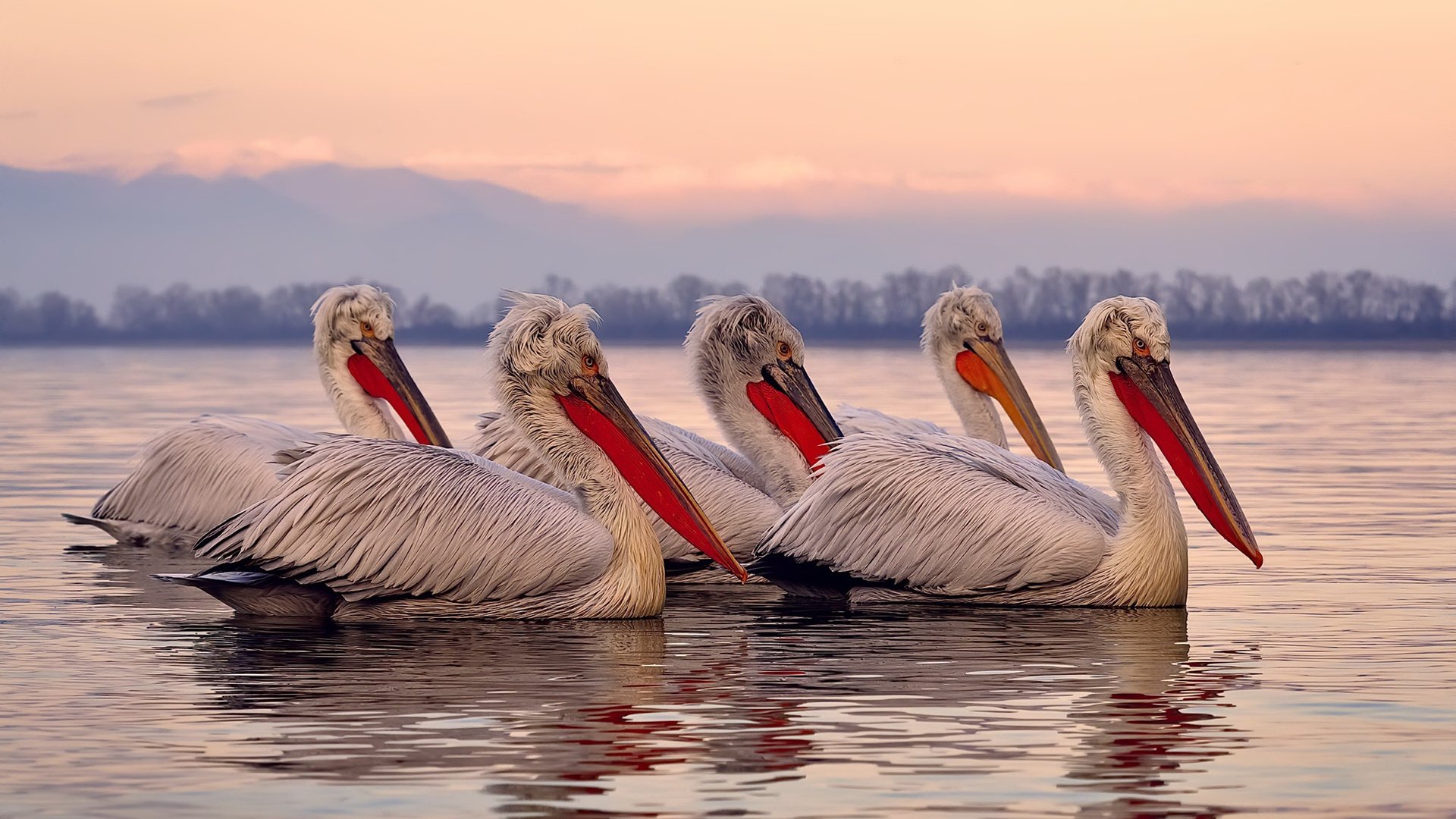 开云官方网页登录-特色夜空徒步登山，挑战星空下的极限，露营夜空