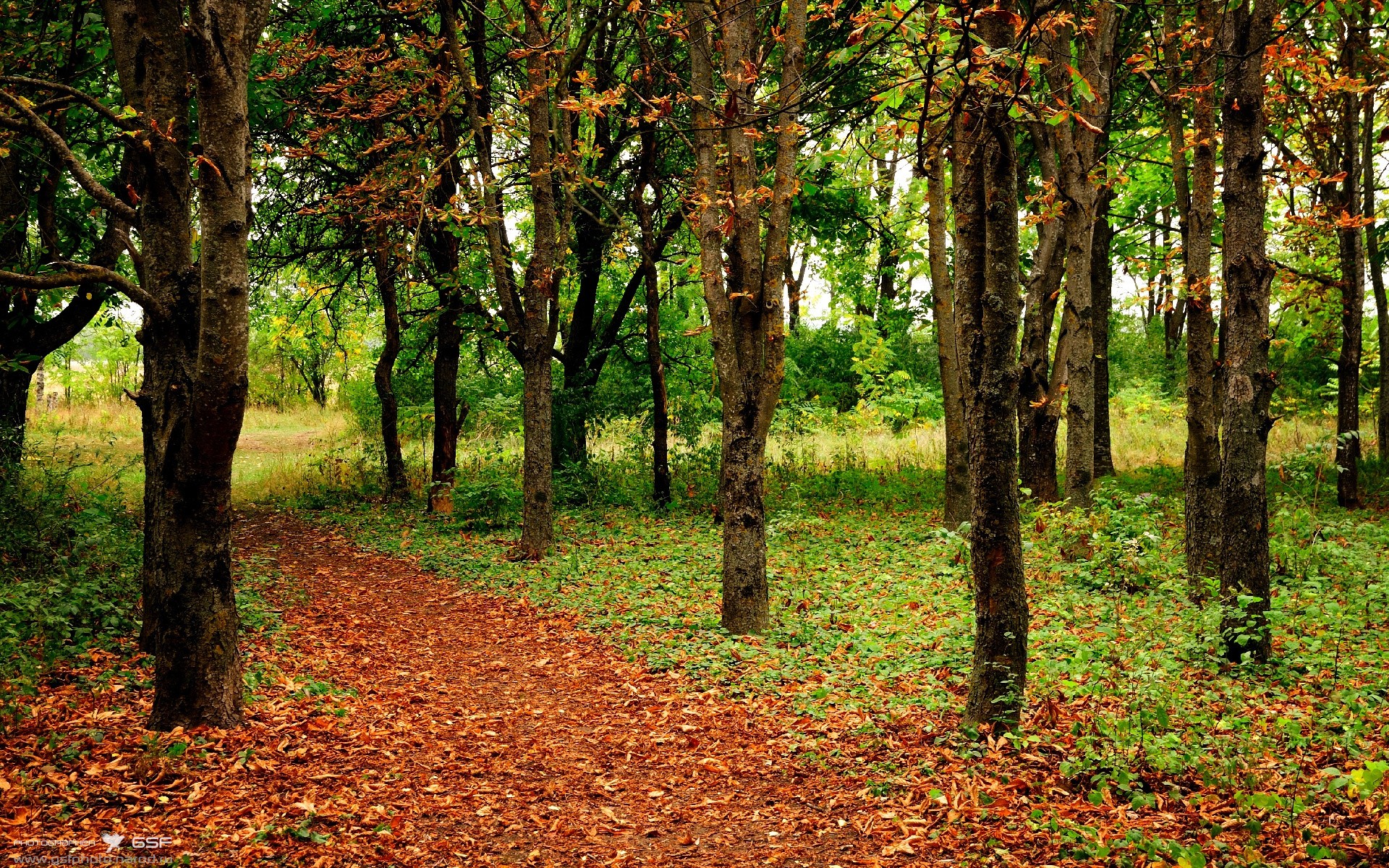 开云网页版-伊朗篮球联赛观众人数增长，伊朗篮球联赛观众人数增长多少