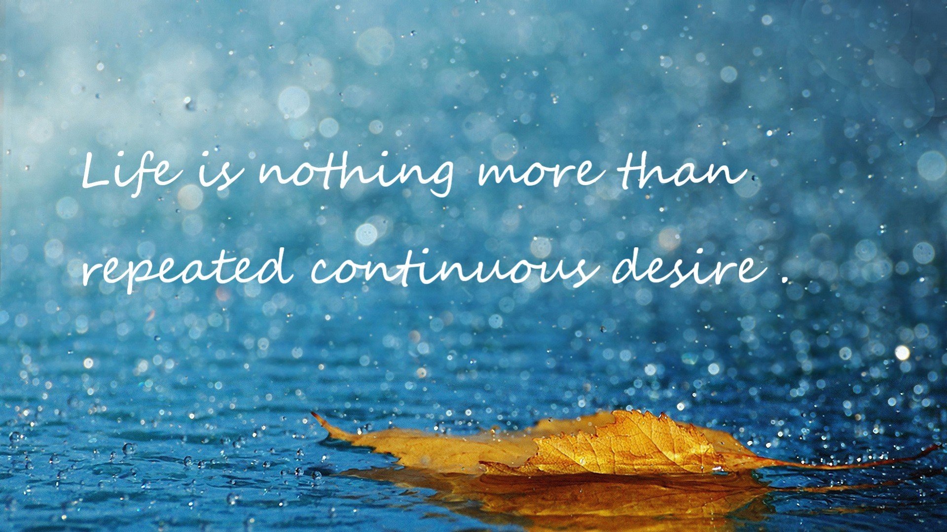 KAIYUNAPP-克罗地亚队在巴黎奥运会手球比赛中以30_29战胜日本队，克罗地亚比赛视频