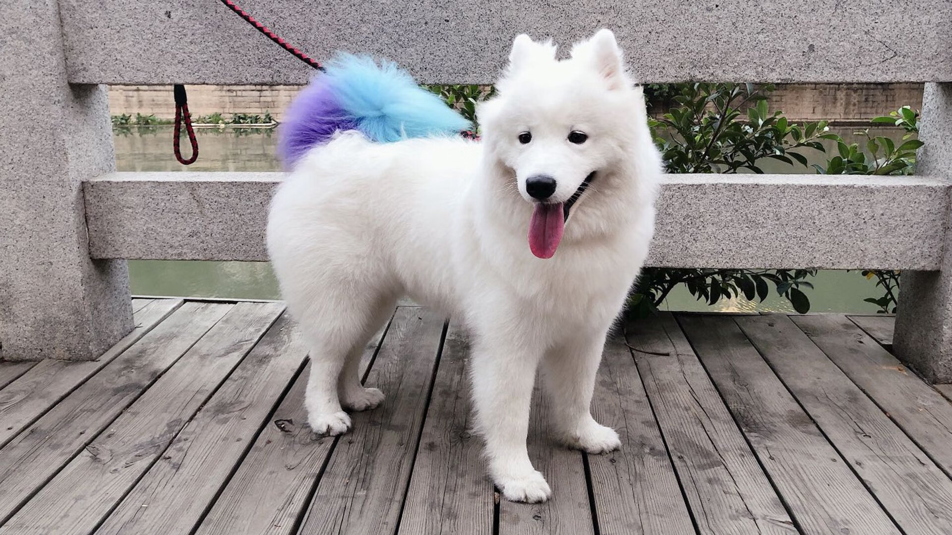 kaiyun官方入口登录-国足集训营展开封闭训练，全力磨合阵容，国足集训名单引来巨大争议