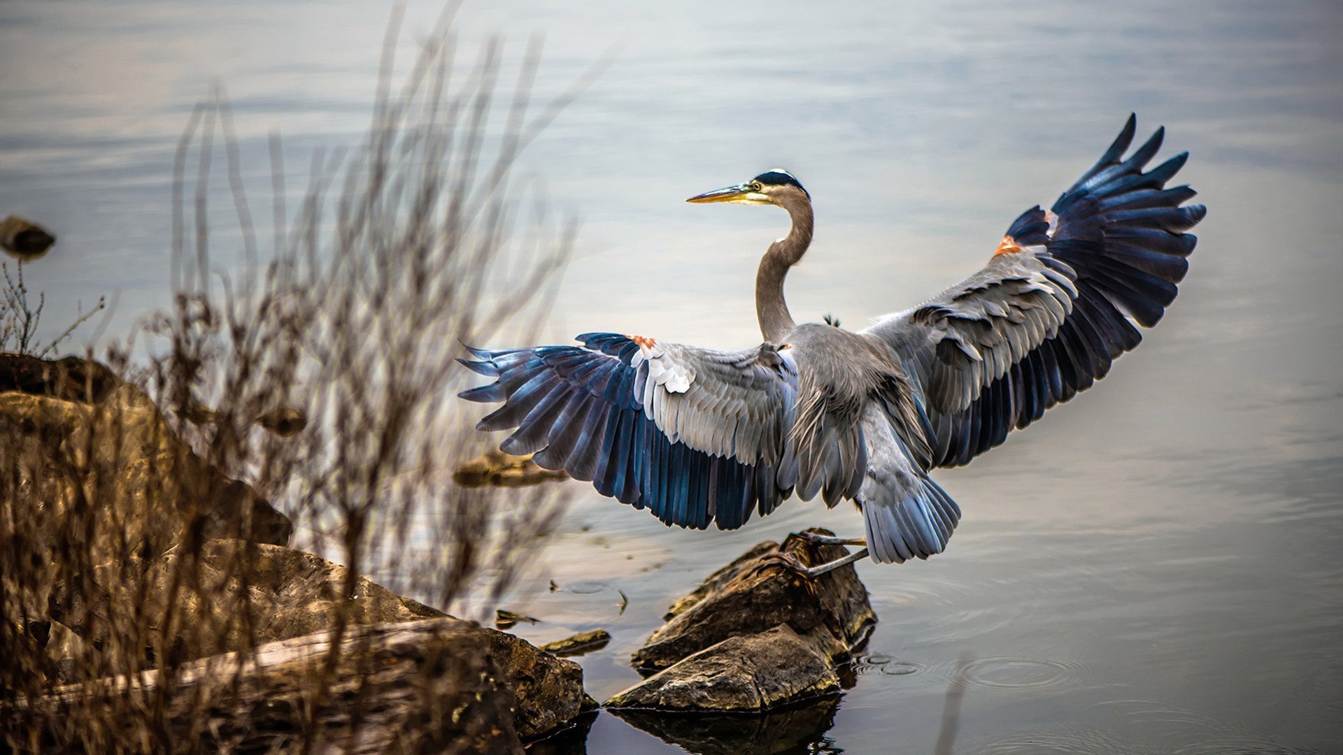 开云·Kaiyun网页版-塞维利亚主场1-0小胜阿拉维斯，艰难取胜，塞维利亚对阿拉维斯聚胜顽球汇