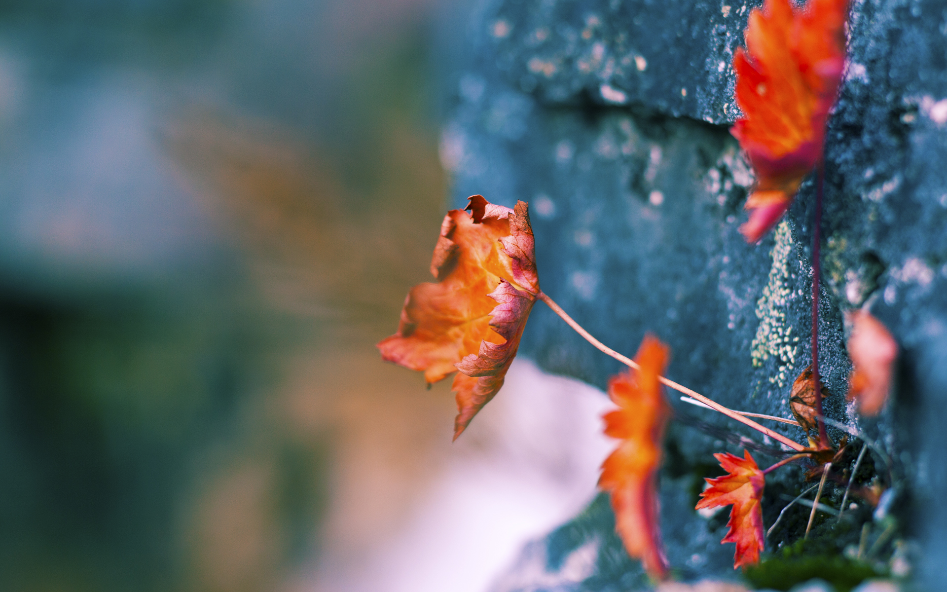 kaiyun官方网站-火箭内线水土不服，主将急需调整状态，火箭kj