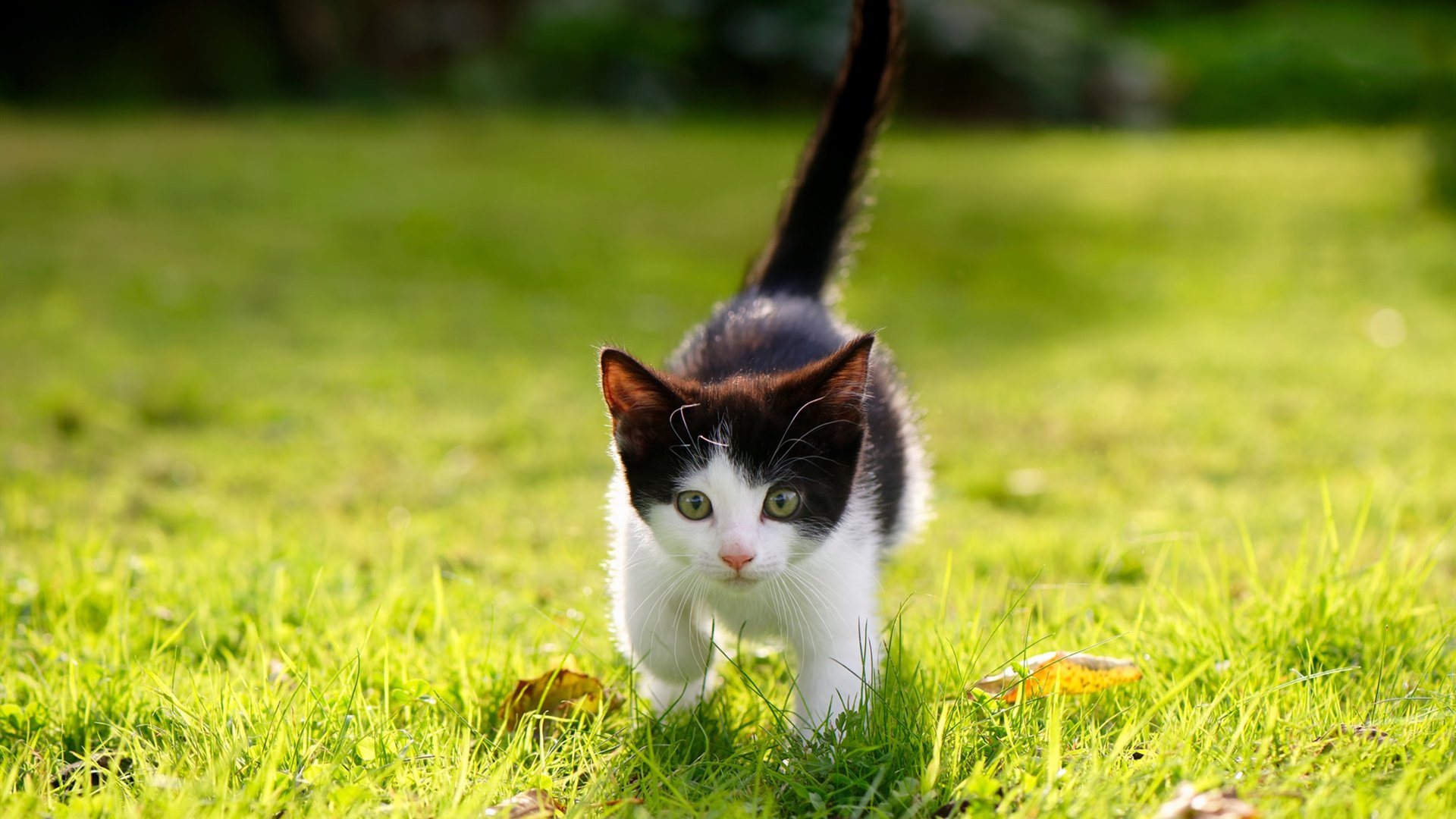 现场回顾:上海比赛火爆一触即发,上海近期比赛活动