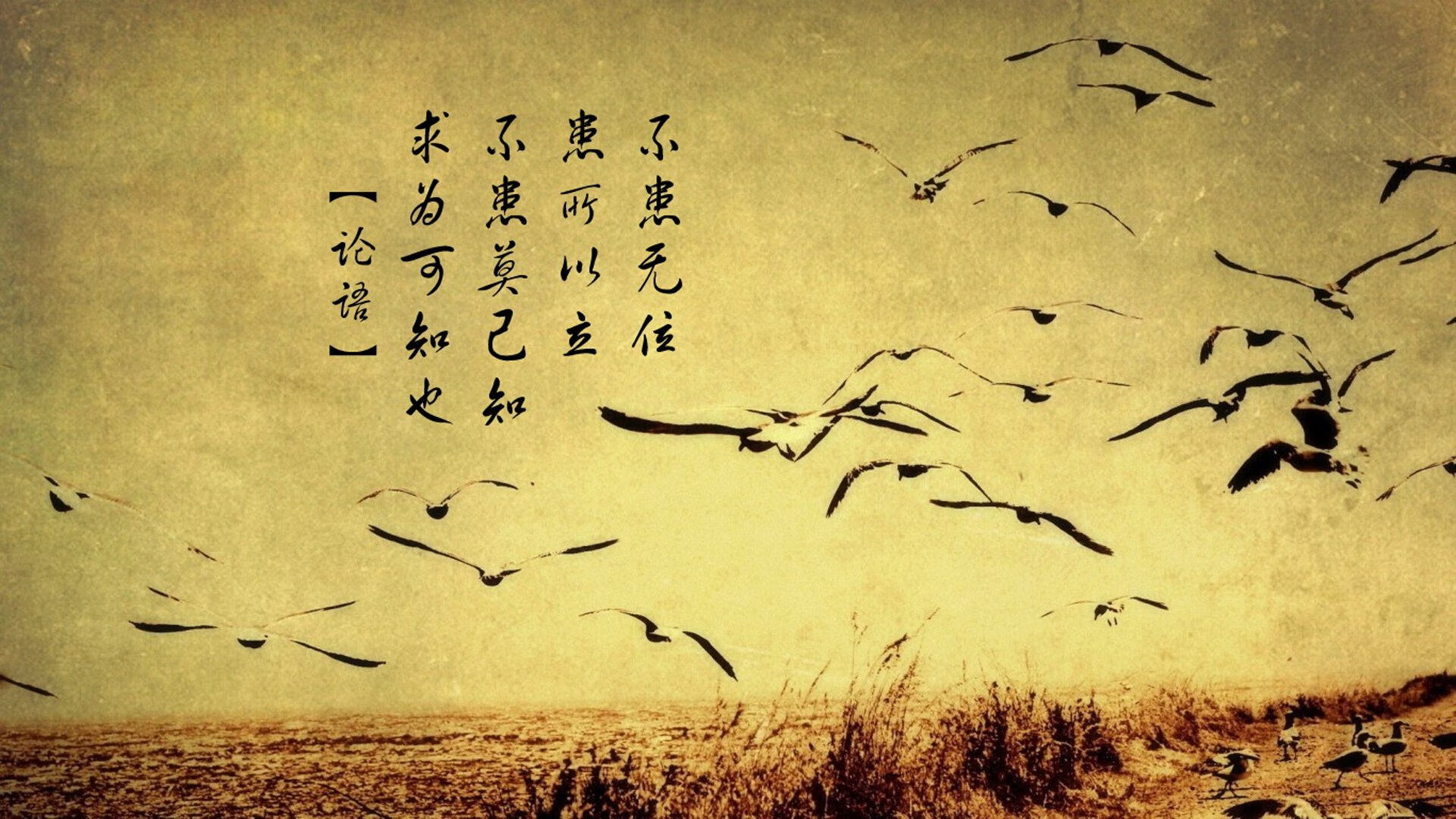 开云官网APP下载-美洲足球队夺得战胜，晋级下一轮比赛，美洲足球预选赛