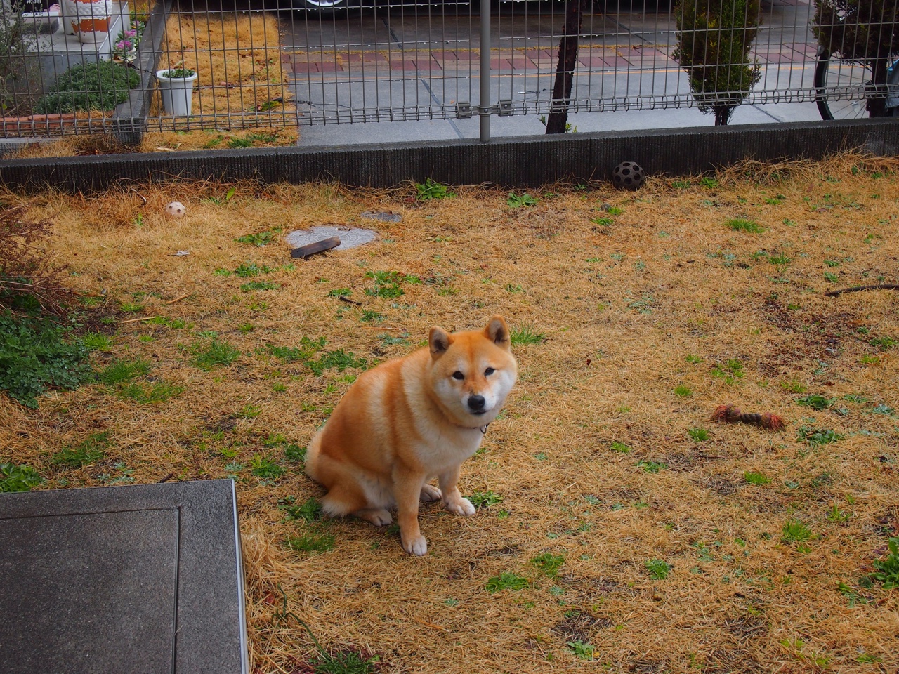 俱乐部成长故事：从基层青训到世界舞台，俱乐部打造