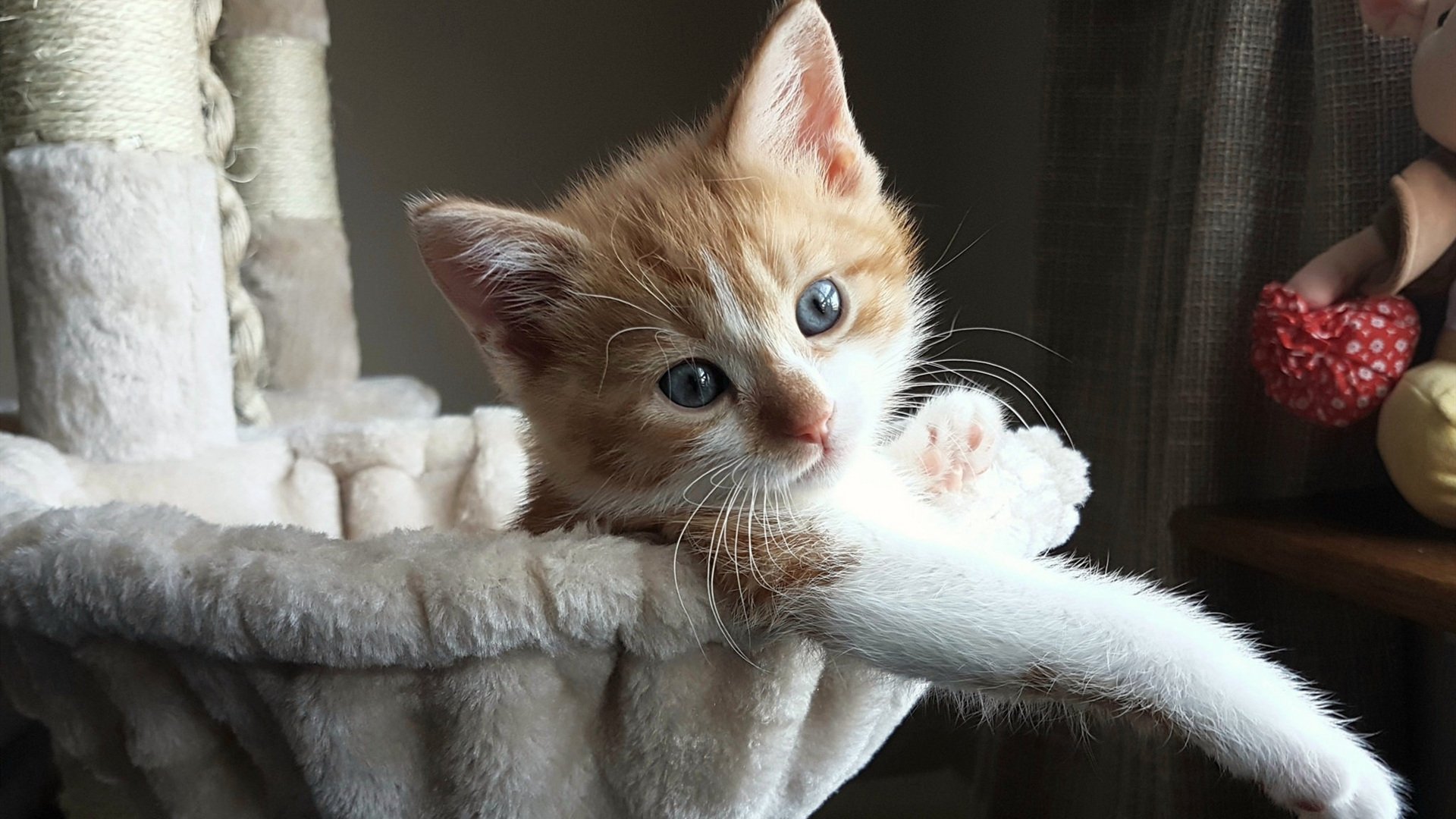 国足比赛局部传控成功率热点图,国足传球成功率