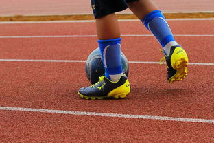 开云·体育官网-篮球运动员心理健康支持体系构建，篮球运动员心理健康支持体系构建方案