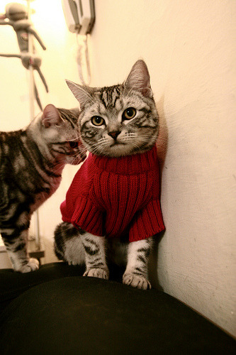 万乐天决赛发挥超出预期,万乐天决赛发挥超出预期了吗