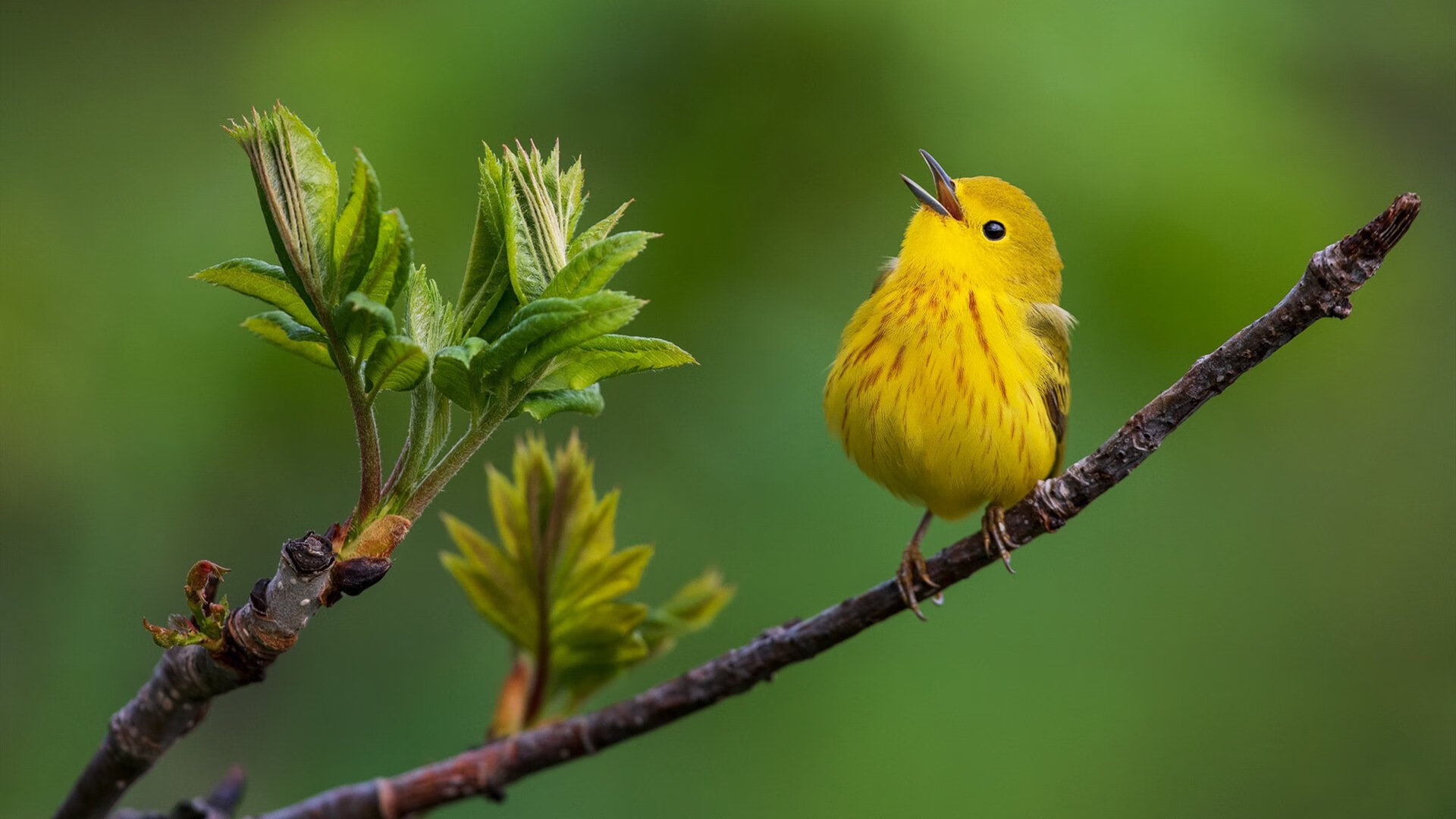 勇士发布球员幕后花絮展示备战日常，勇士入场