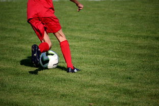 KAIYUN 中国大陆-国脚待遇结构调整引导更多球员留在国内发展，国家队国脚