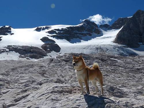德甲攻守结合:节奏快、变化多!,德甲进攻型球队
