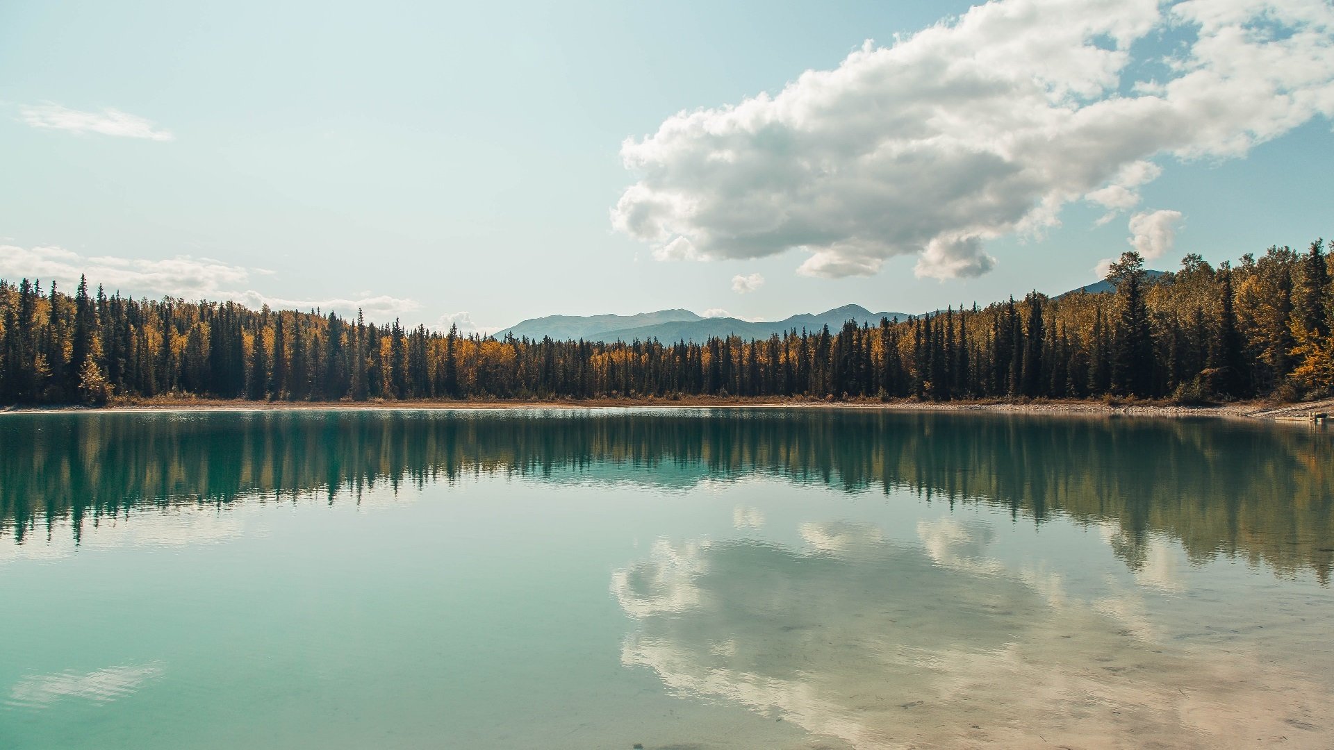意甲球队风云变幻:精彩策略助力!,意甲阵营