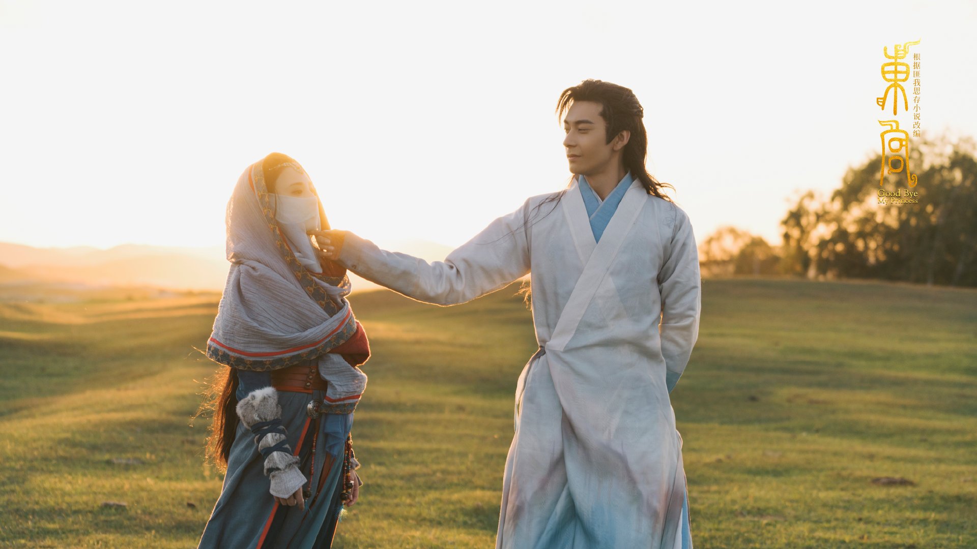 美洲杯激情巨献:个人表现点燃赛场,美洲杯精彩集锦