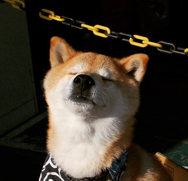 英超冠军角逐:悬念、精彩、最终胜利!,0506英超冠军