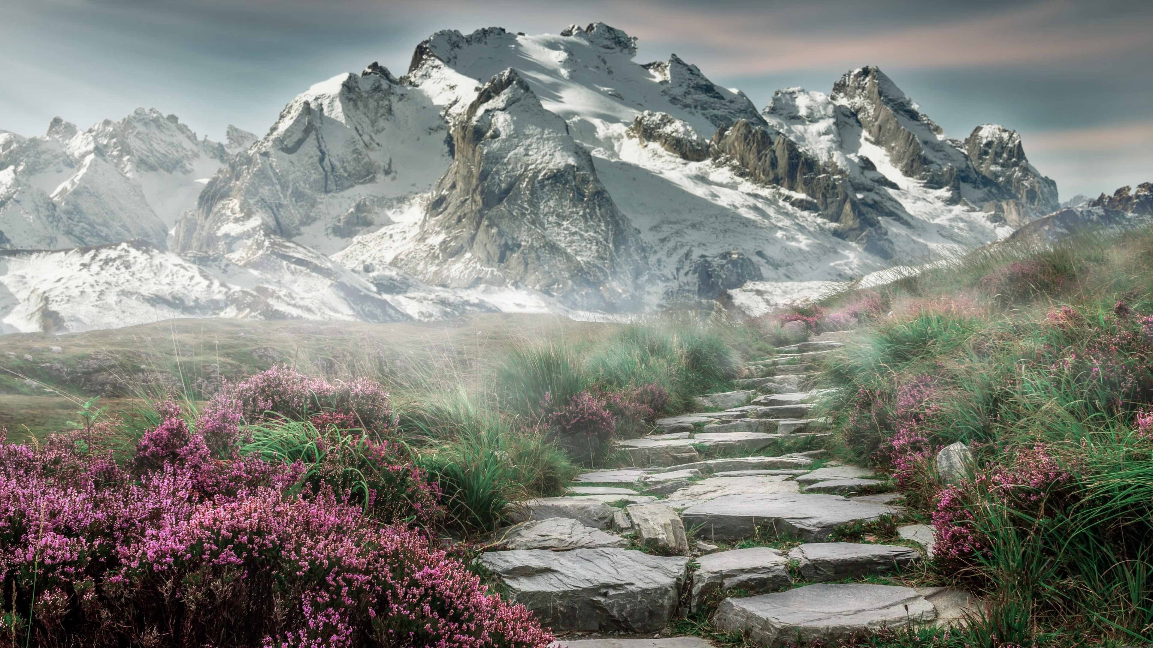 陈芋汐完美发挥赢得女子10米跳台金牌,陈芋汐十米跳台决赛